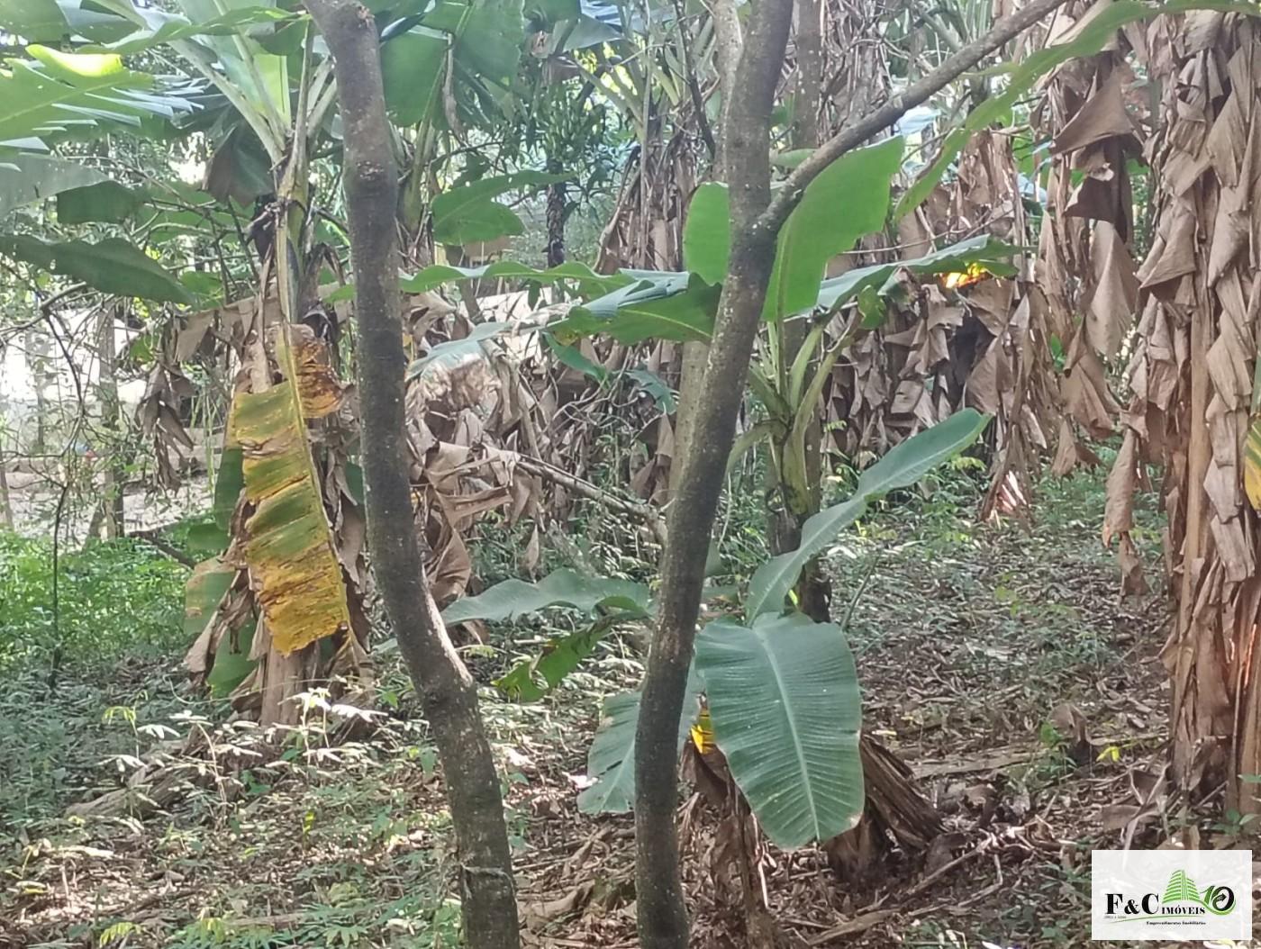 Fazenda, 1300 m² - Foto 45