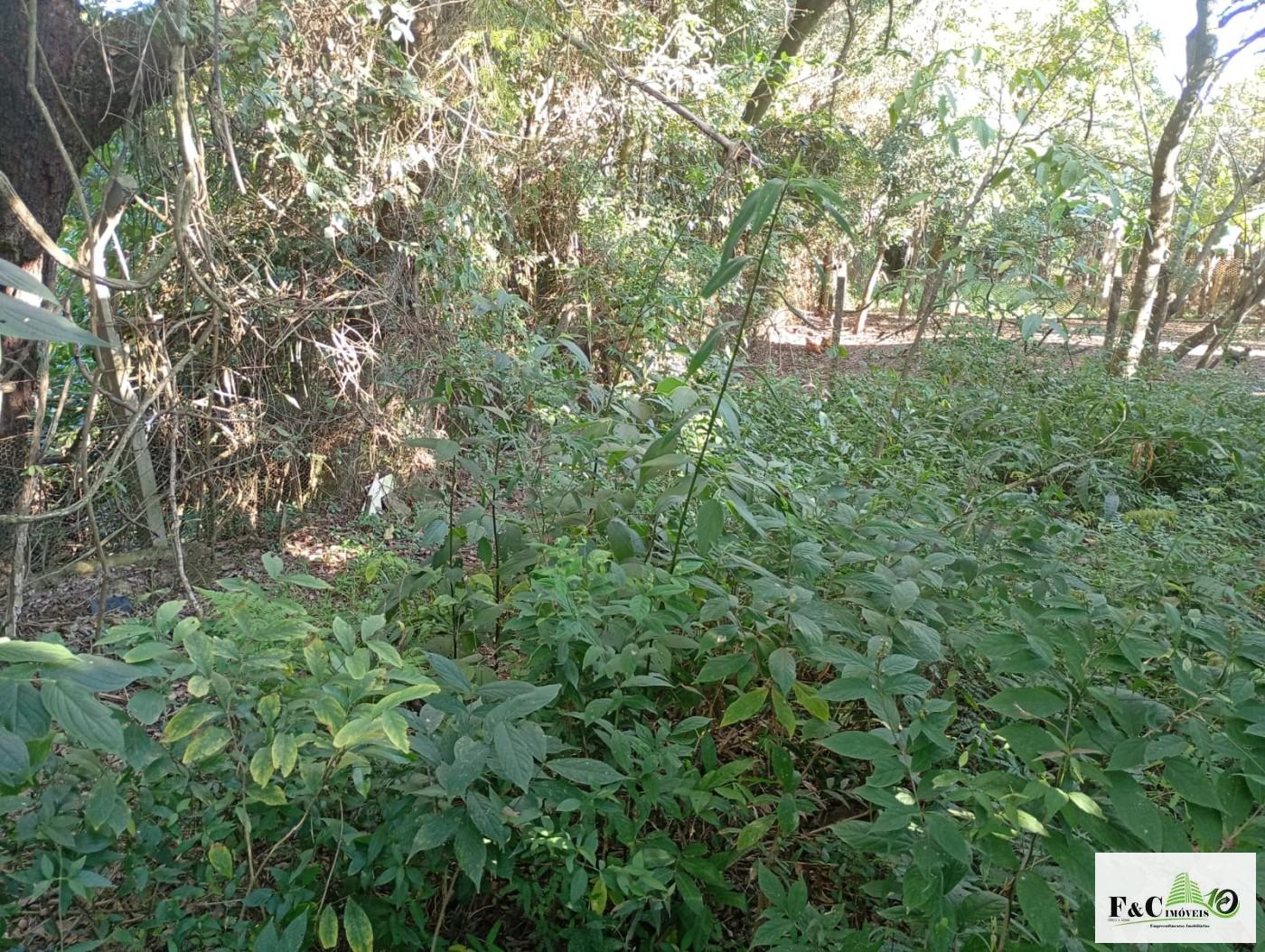 Fazenda, 1300 m² - Foto 50