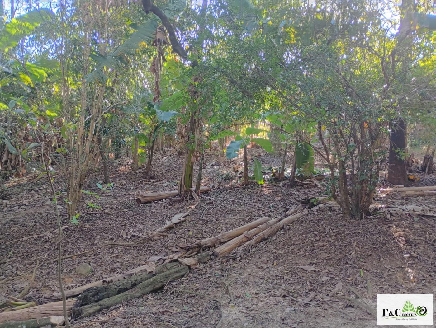 Fazenda, 1300 m² - Foto 53