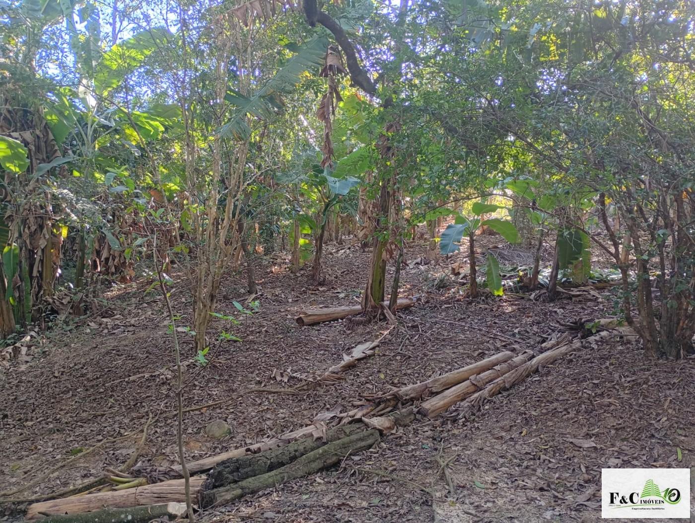 Fazenda, 1300 m² - Foto 56