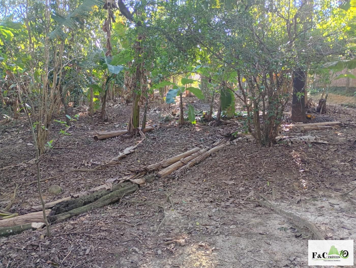 Fazenda, 1300 m² - Foto 64
