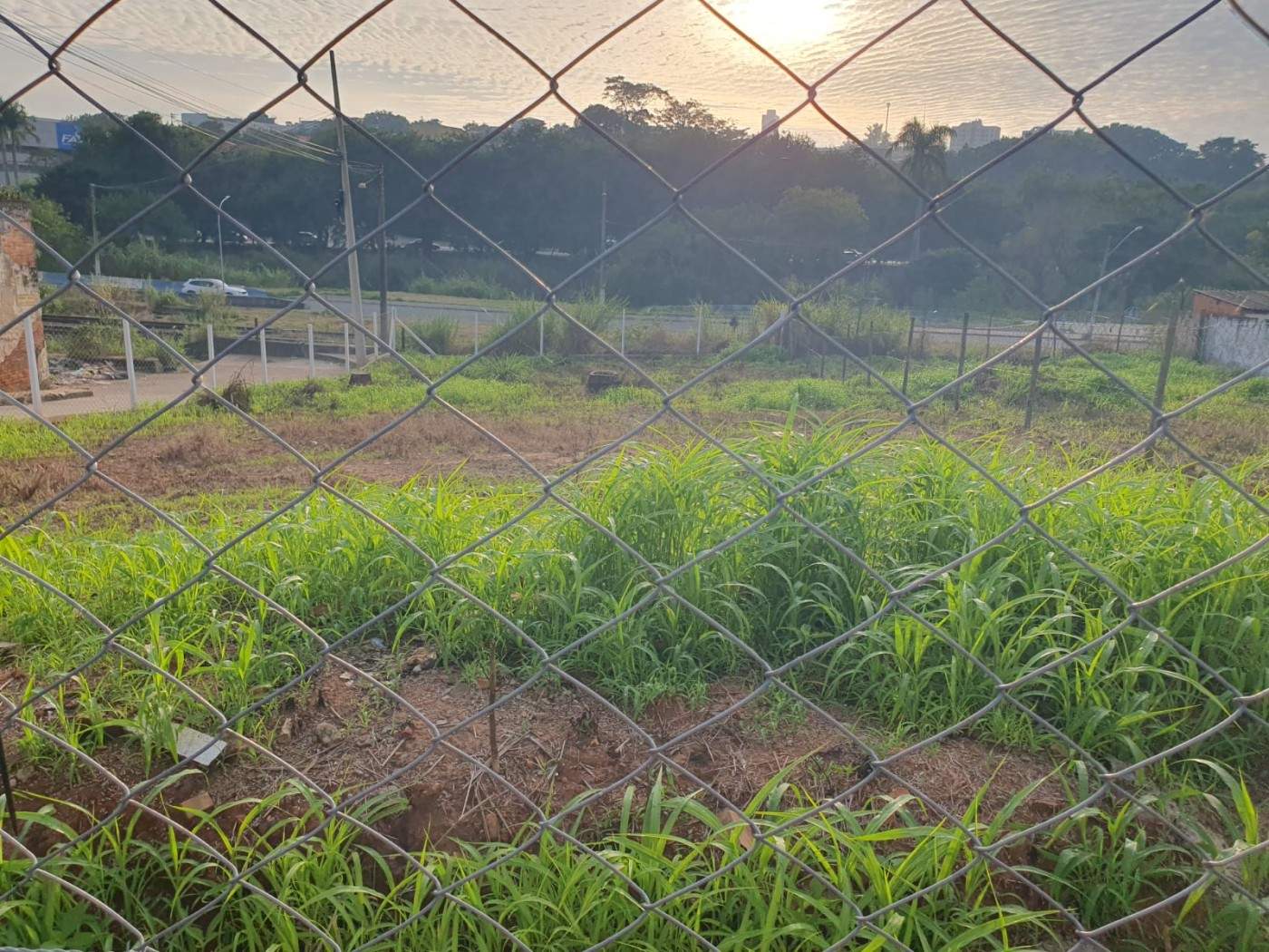 Terreno, 600 m² - Foto 4