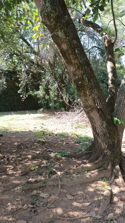 Fazenda, 900 m² - Foto 21