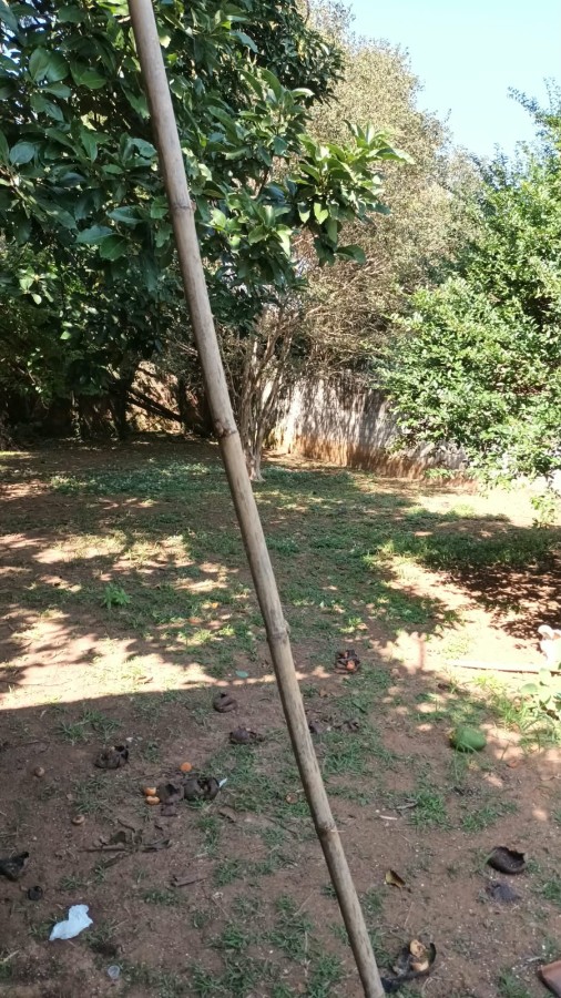 Fazenda, 900 m² - Foto 22
