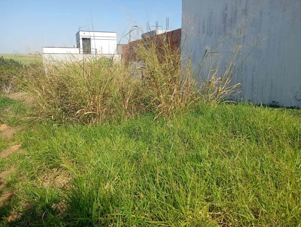 Terreno, 200 m² - Foto 6