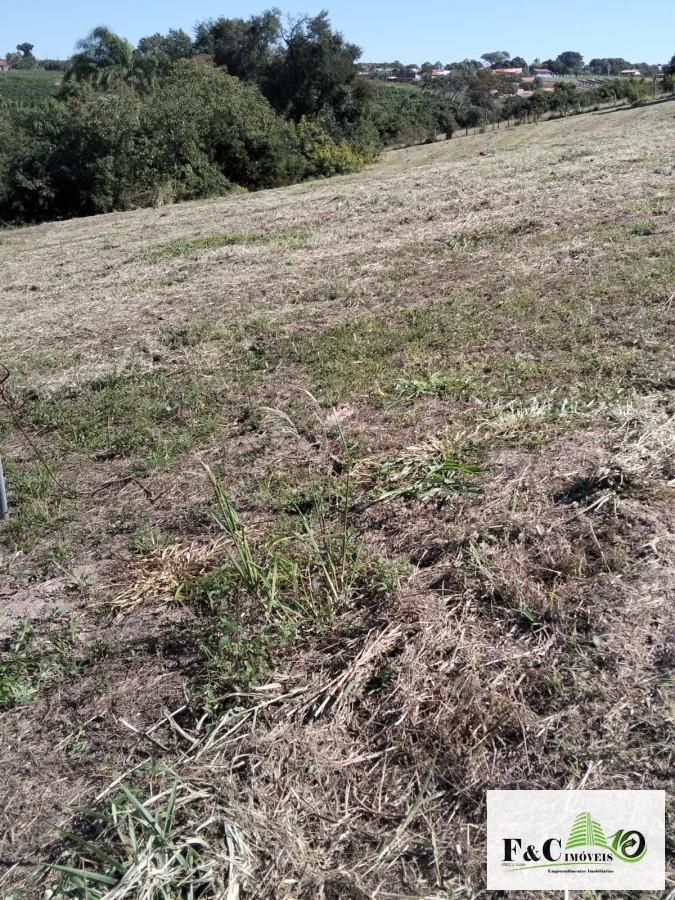 Fazenda, 10000 m² - Foto 1