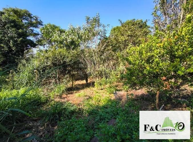 Fazenda, 1000 m² - Foto 2