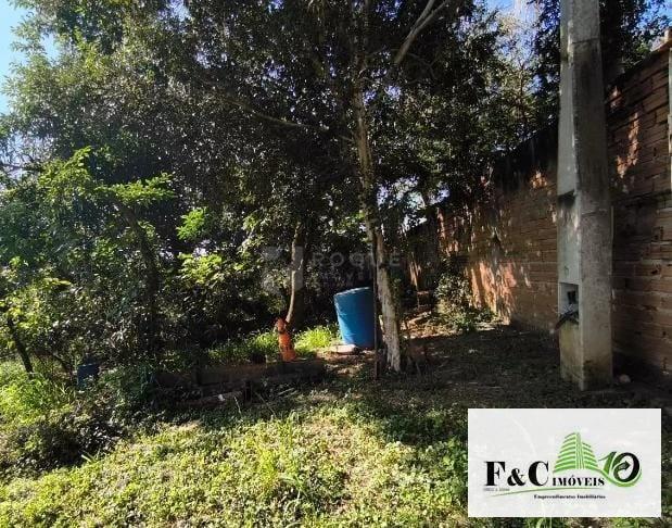 Fazenda, 1000 m² - Foto 4