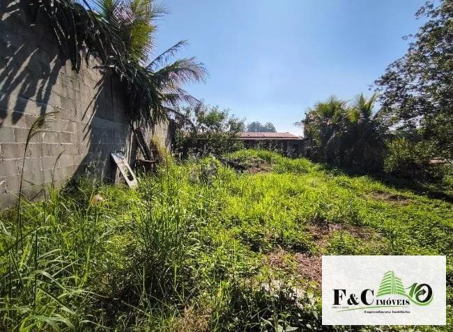 Fazenda, 1000 m² - Foto 10