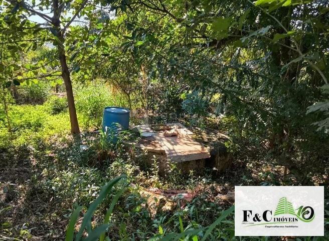 Fazenda, 1000 m² - Foto 6