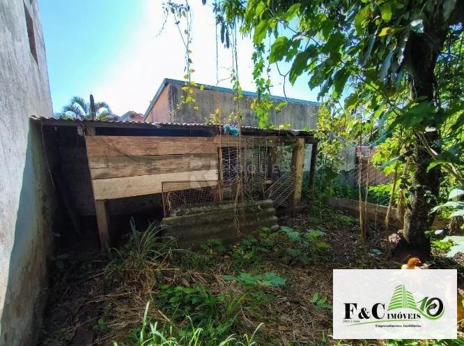 Fazenda, 1000 m² - Foto 8