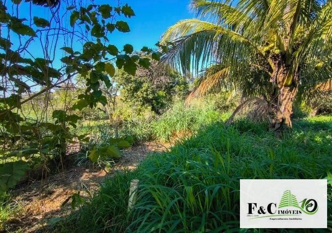 Fazenda, 1000 m² - Foto 17