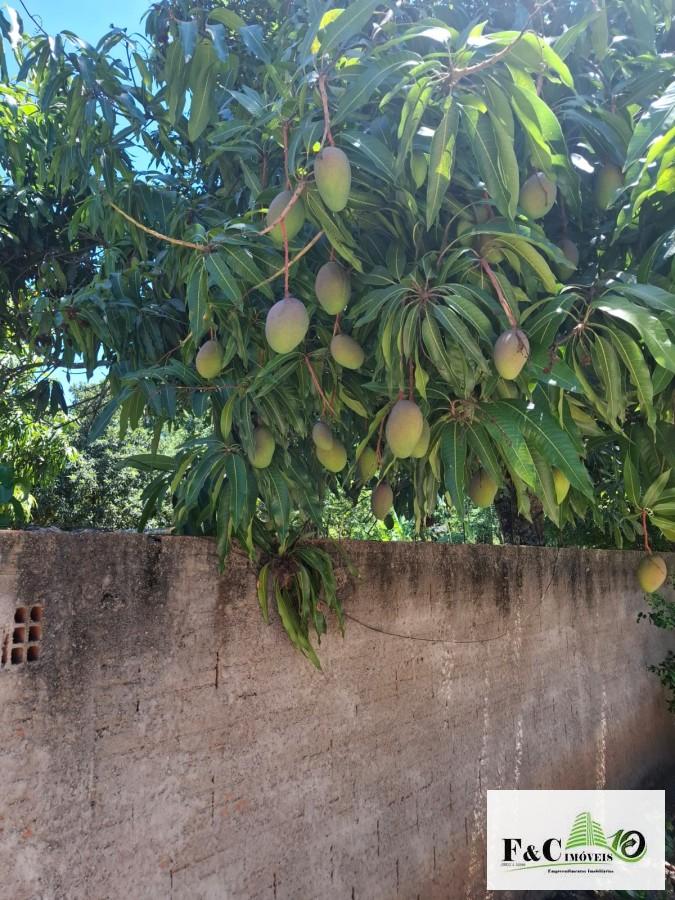 Fazenda, 1735 m² - Foto 39