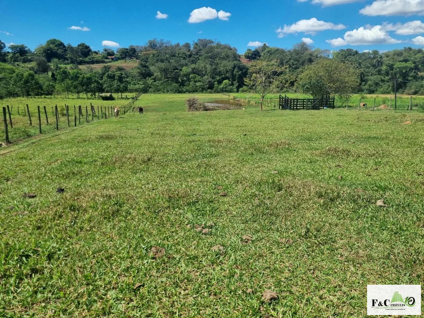 Fazenda, 10000 m² - Foto 3