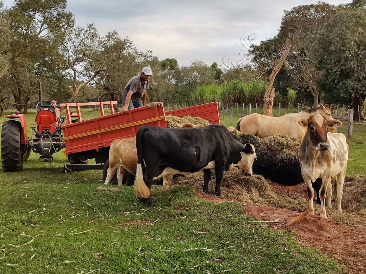 Fazenda, 8 hectares - Foto 15