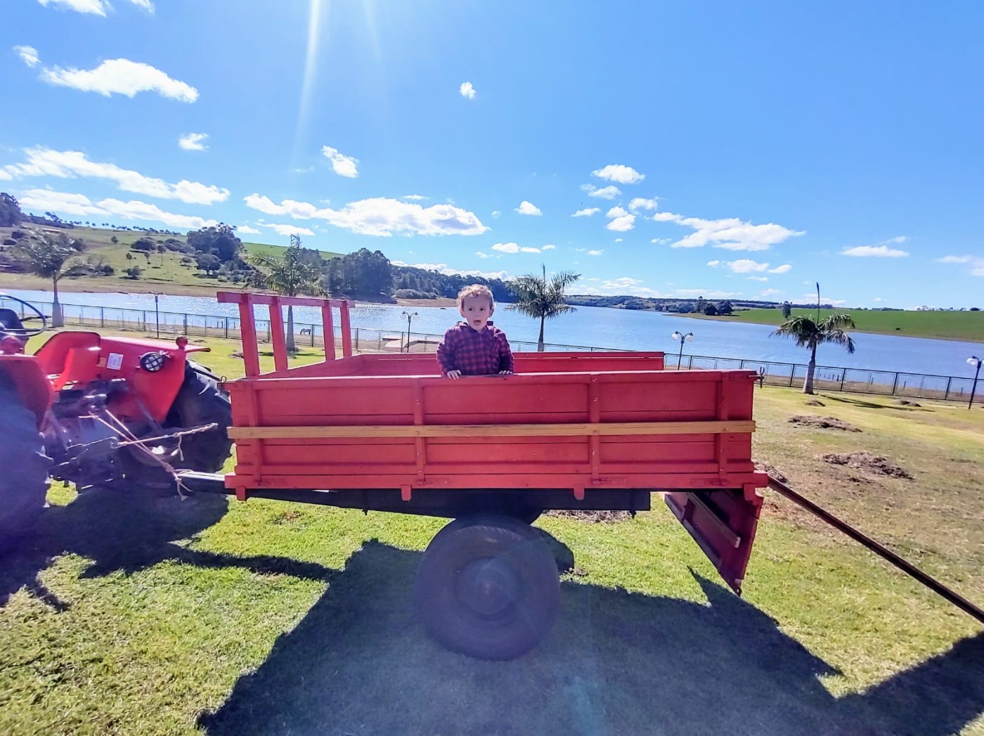 Fazenda, 8 hectares - Foto 14