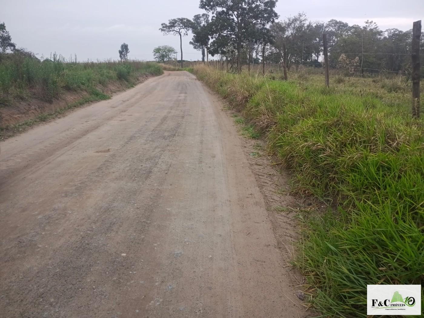 Terreno, 4 hectares - Foto 1