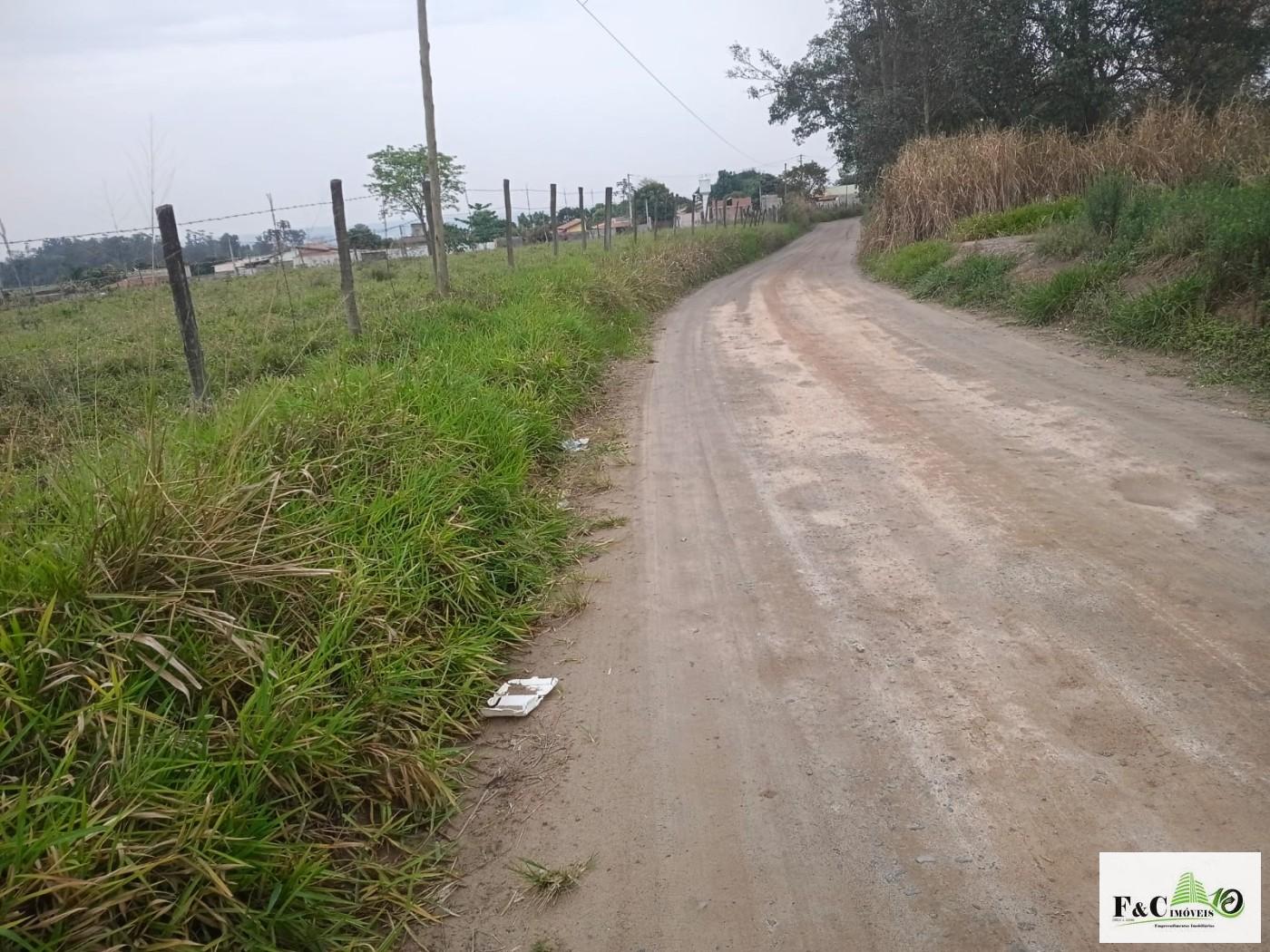 Terreno, 4 hectares - Foto 4