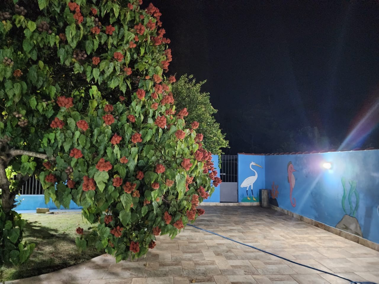Chácara, 3 quartos, 5000 m² - Foto 11