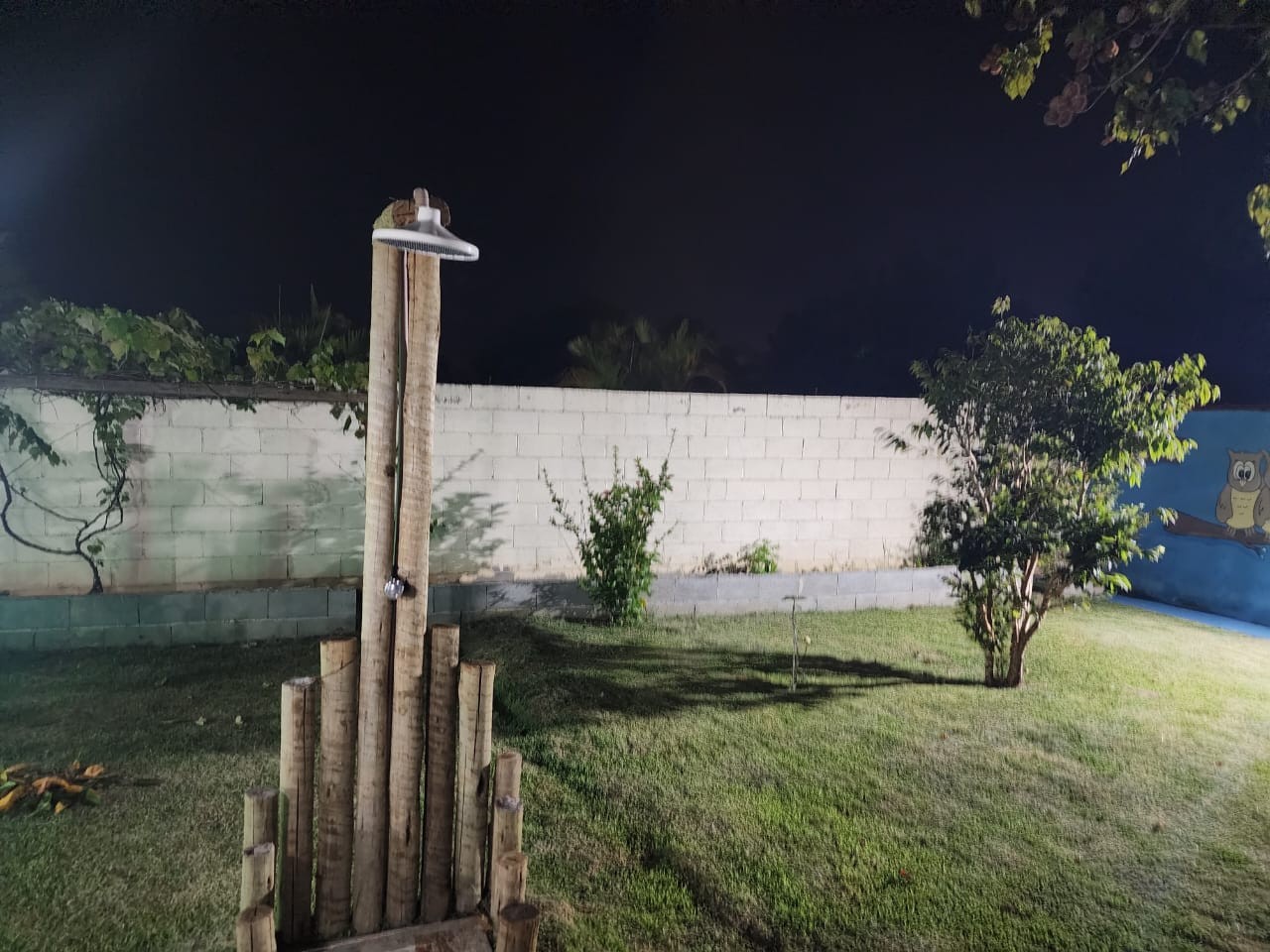 Chácara, 3 quartos, 5000 m² - Foto 10