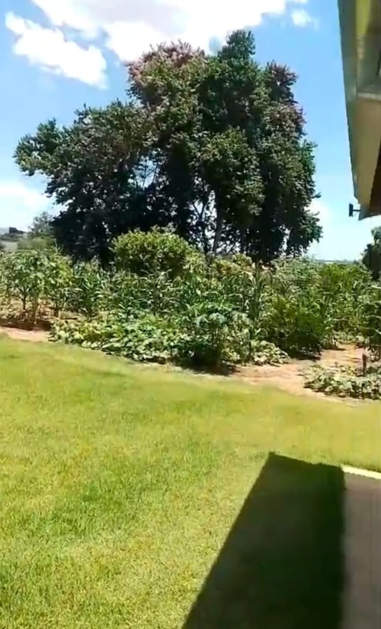Chácara, 2 quartos, 1000 m² - Foto 6