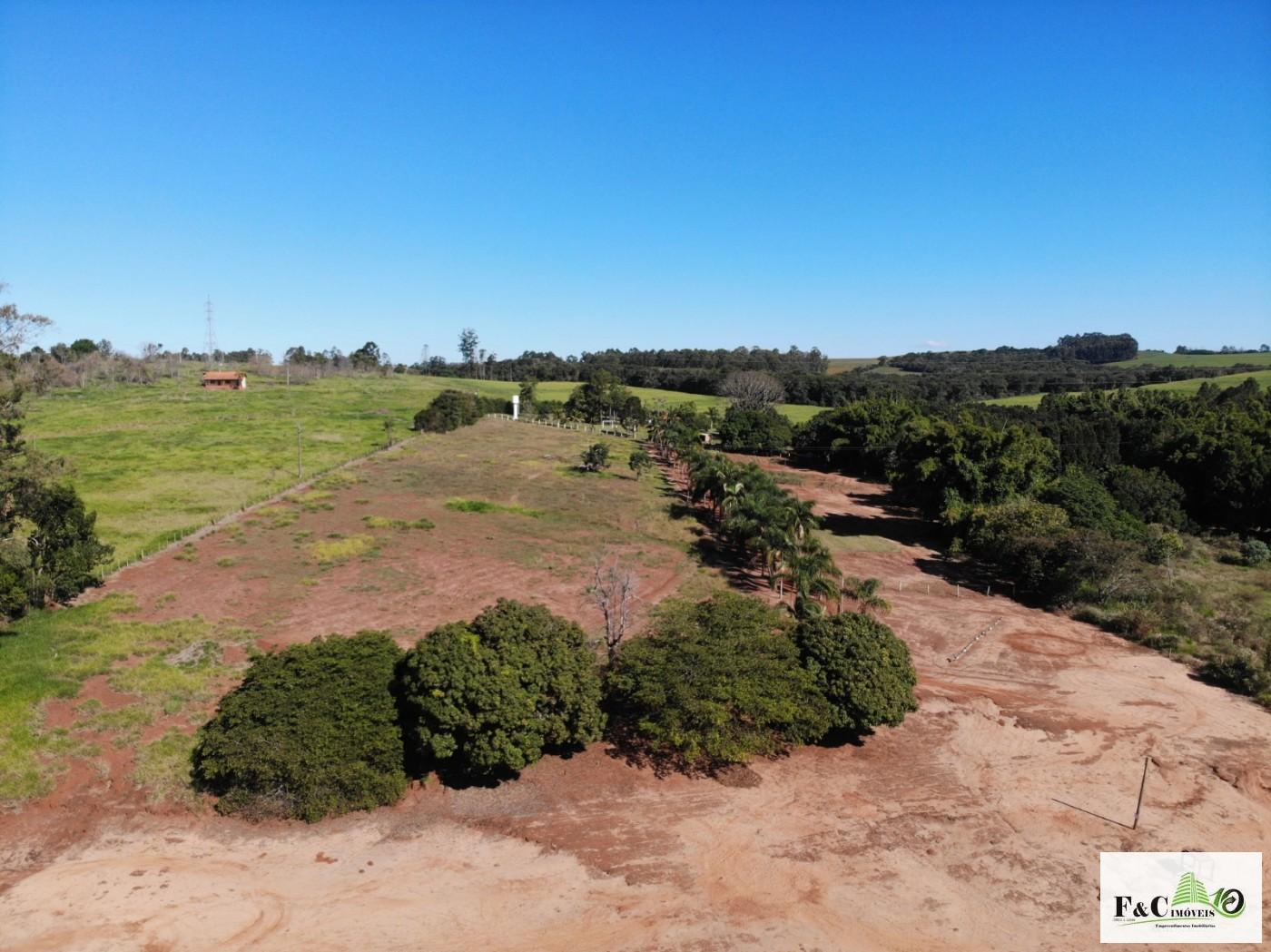 Chácara, 5 quartos, 3 hectares - Foto 4