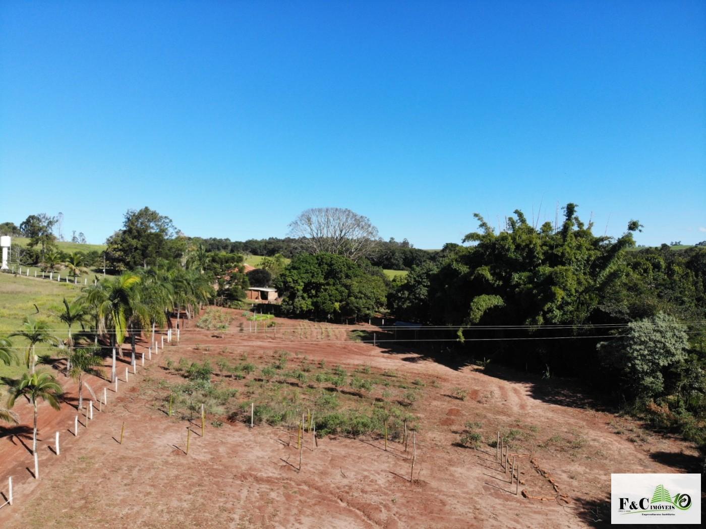 Chácara, 5 quartos, 3 hectares - Foto 6