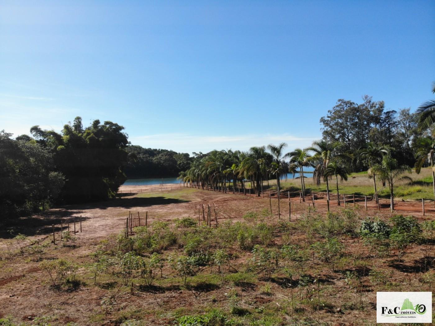 Chácara, 5 quartos, 3 hectares - Foto 8