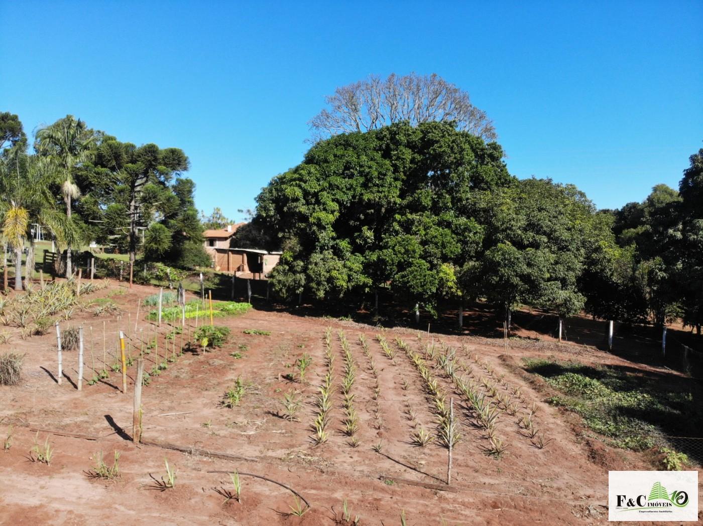 Chácara, 5 quartos, 3 hectares - Foto 9