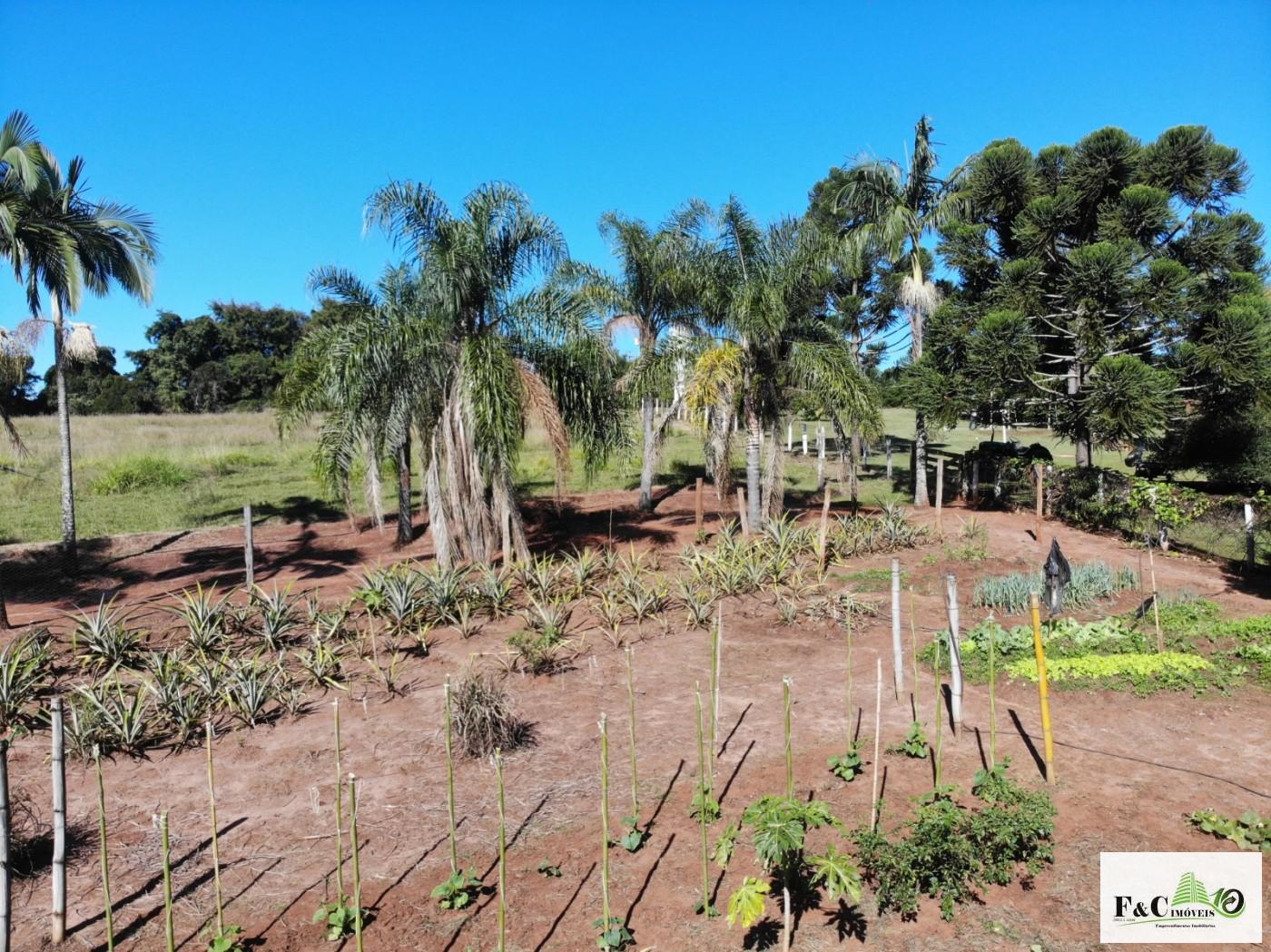 Chácara, 5 quartos, 3 hectares - Foto 10