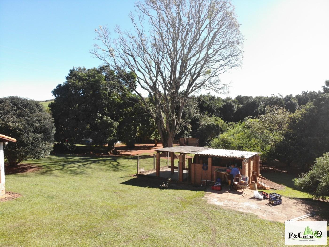 Chácara, 5 quartos, 3 hectares - Foto 14