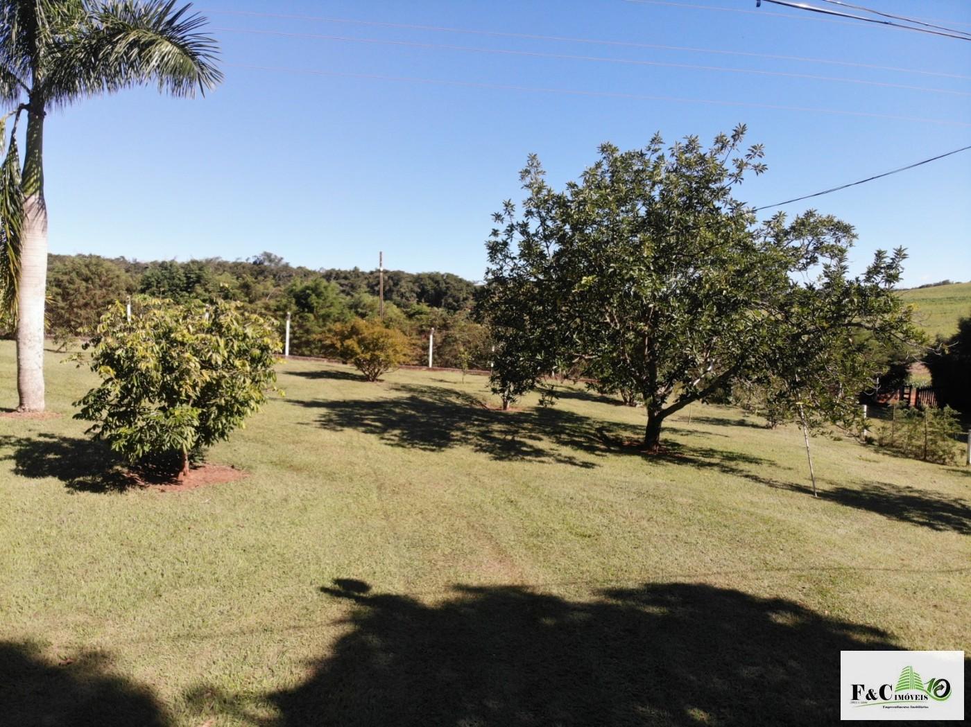 Chácara, 5 quartos, 3 hectares - Foto 15