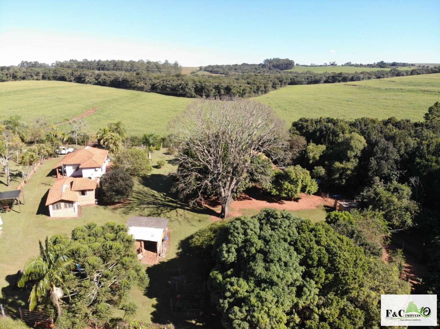 Chácara, 5 quartos, 3 hectares - Foto 16